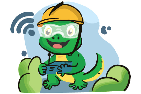 Broadband Internet